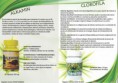 /album/nuestros-productos/clorofila-jpg/